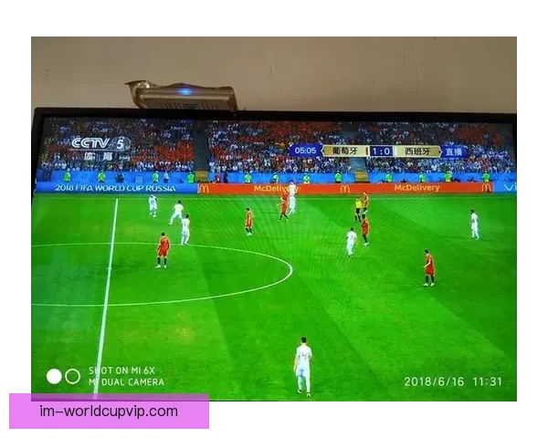 世界杯竞猜平台推荐，安全可靠助你畅享精彩赛事体验